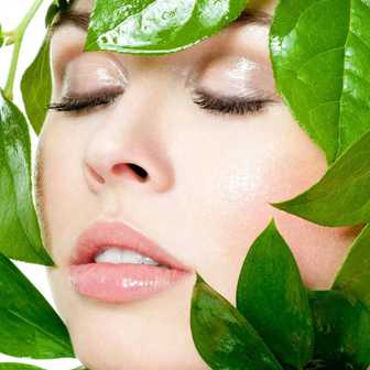 Рецепты масок для кожи, основанных на лечебных растениях