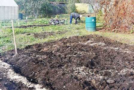 Восстановление земли после зимы: советы для садоводов