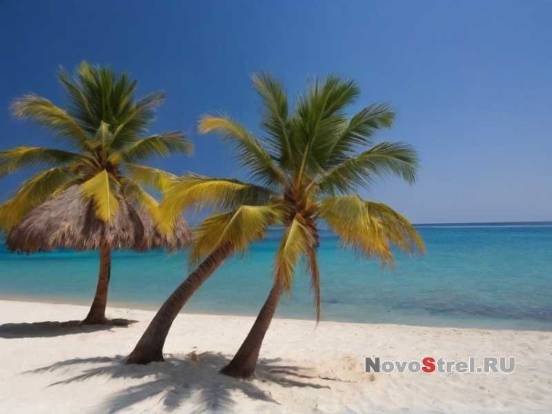 Побережья Африки: где увидеть самых редких морских черепах