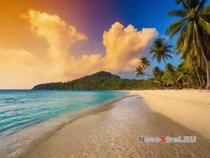 Адаптация к условиям