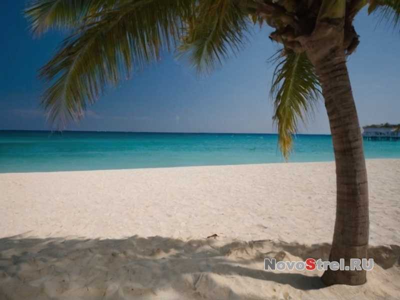 Антарктический берег: край суровой красоты