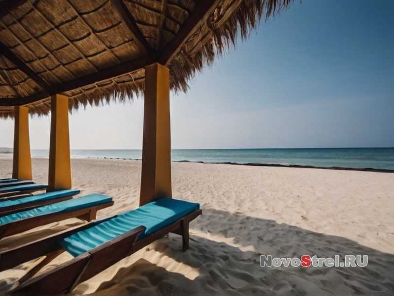 Когда лучше всего планировать тур в Африку для наблюдения за дикой природой?