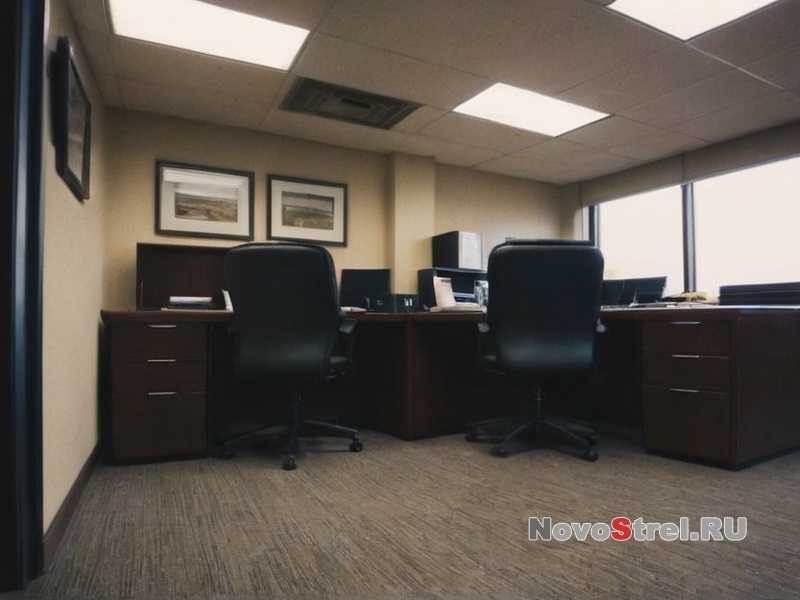 Роль руководителя в создании здорового микроклимата