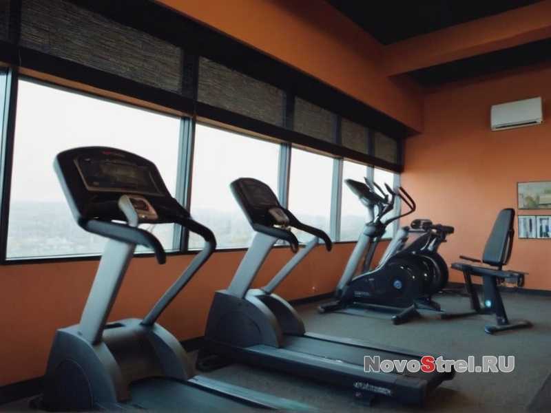 Как выбрать секцию единоборств для ребёнка?