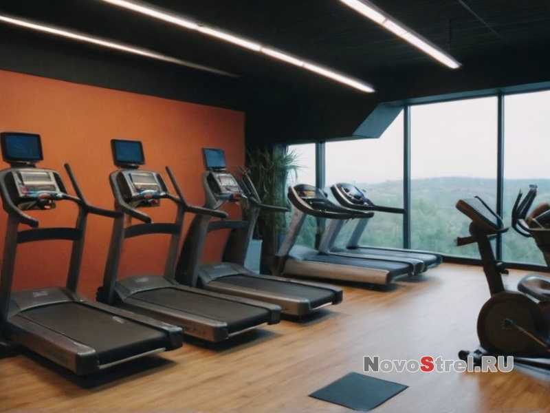 Топ-10 упражнений для начинающих в фитнесе