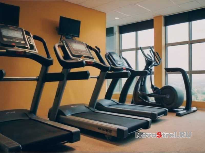 Роль восстановления и питания