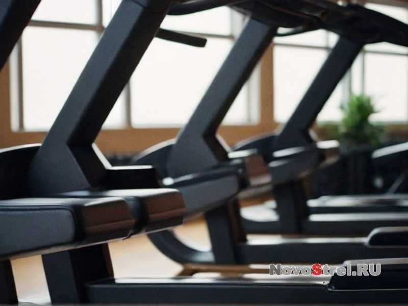 Как укрепление суставов и связок влияет на развитие взрывной силы?