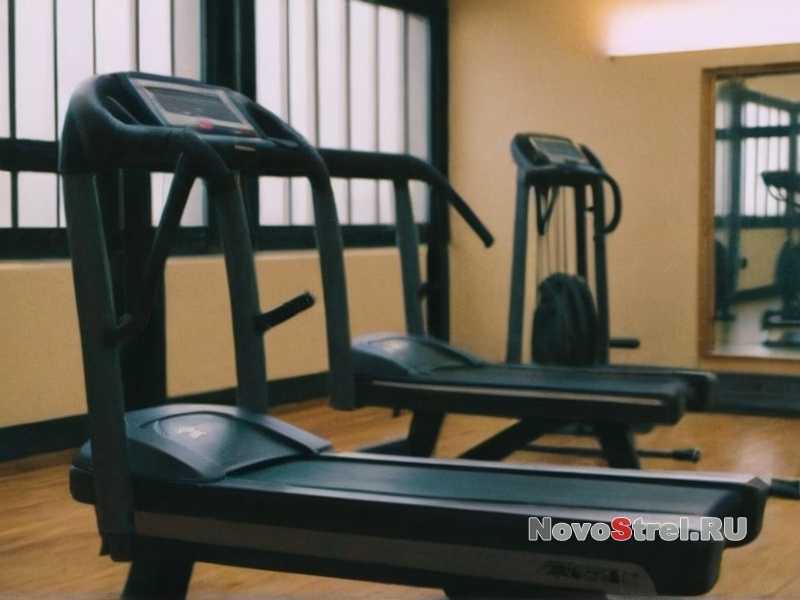 Как выбрать идеальные кроссовки для бега на длинные дистанции?