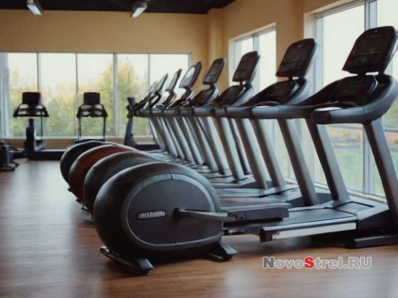 Как выбрать правильные ласты для плавания?