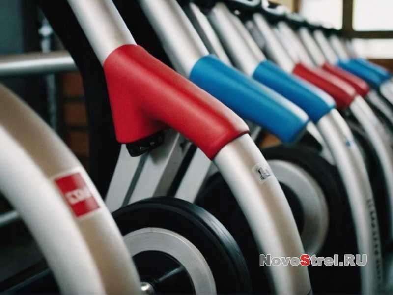 Как тренировать выносливость для бега на длинные дистанции? Как тренировать выносливость для бега на длинные дистанции?