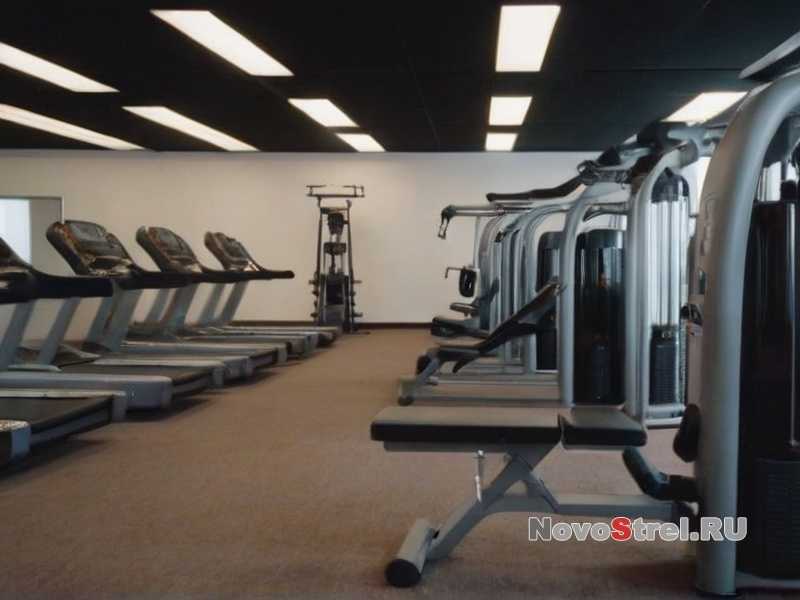 Как учесть индивидуальные особенности организма при составлении рациона?