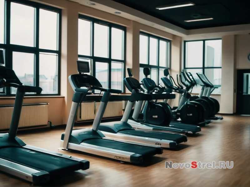 Выбор спортивной одежды напрямую влияет на качество тренировок. Особенно важно подобрать удобные шорты, которые не сковывают движения и обеспечивают комфорт. Главные критерии при покупке – undefinedткань</strong>, <strong>посадка</strong>, <strong>эластичность</strong>, <strong>вентиляция</strong> и <strong>длина</strong>. Эти параметры определяют, насколько удобно будет выполнять упражнения.