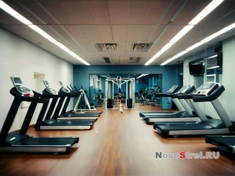 Как правильно разогреваться перед тренировкой? Как правильно разогреваться перед тренировкой?