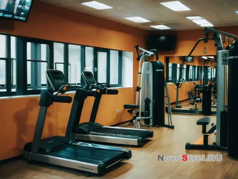 Какие тренировки помогут избавиться от болей в спине?