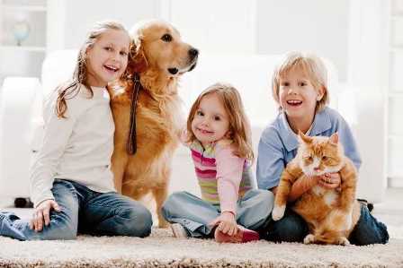 Домашние животные и дети: как научить их жить в гармонии