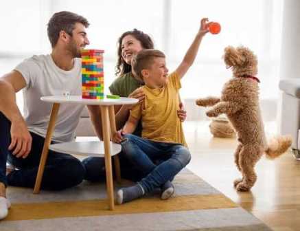 Домашние животные и детская терапия: как они помогают детям с особыми потребностями