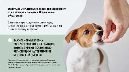 Государственная поддержка владельцев домашних животных