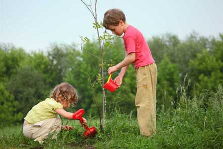Как научить ребенка заботиться о природе и окружающей среде