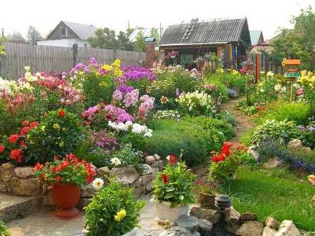 Как вырастить летний сад с разными цветами и ароматами