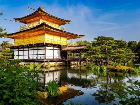 Путешествие в Японию: геиши, сакуры и традиции