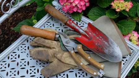 Садовые инструменты: как выбрать правильное оборудование для сада