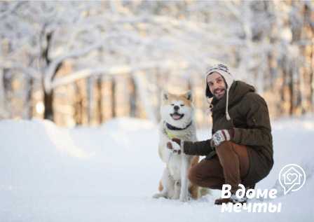 Секреты здоровья для домашних животных в зимний период