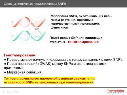 Селекция растений: как создать свою уникальную разновидность.