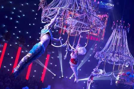 Цирк в Москве: шоу, которые оставят вас без слов